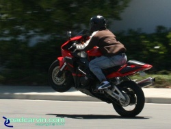 CBR954RR - Wheelie (III)